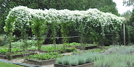 Back To The Garden 1969 The Woodstock Experience Tickets Fri