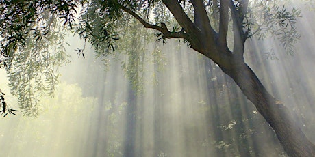 Cancelled The Garden By Michael Mclean Tickets Mon Apr 20