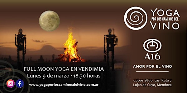 Yoga en Vendimia por los Caminos del Vino - Edición luna llena Bodega A16