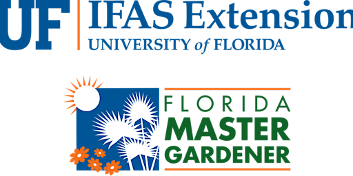 Orlando Die Besten Insider Tipps Fur Deinen Besuch