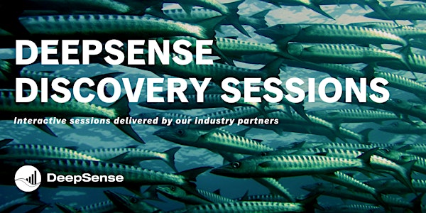 DeepSense Discovery Session - ReelData