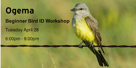 CANCELLED Ogema - Beginner Bird ID Workshop primary image