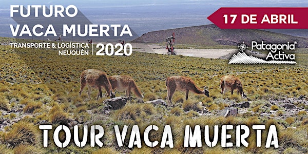 Tour Vaca Muerta 2020