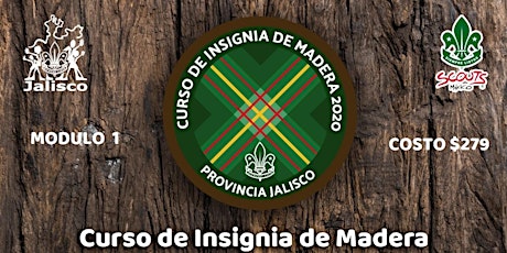 Imagen principal de Curso Insignia de Madera - Modulo 1
