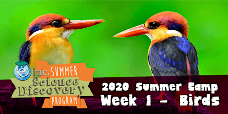 "e" inc.'s Summer Science Discovery Program - Week 1 - Birds! primary image