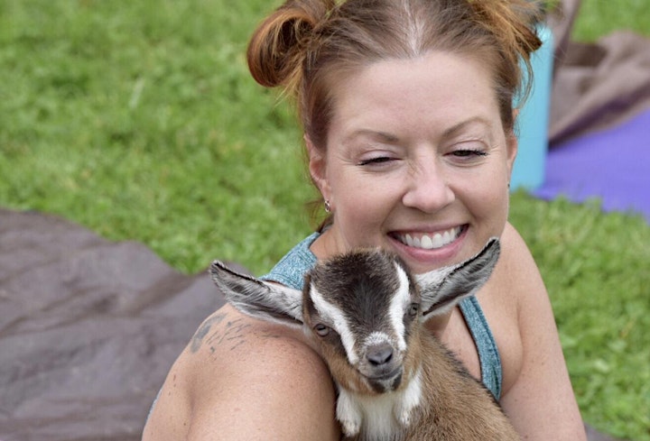 Yoga With Goats Maryland * Saturday, 8/20 @11:30am image