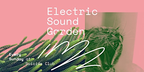 Hauptbild für Electric Sound Garden pres. Agent!