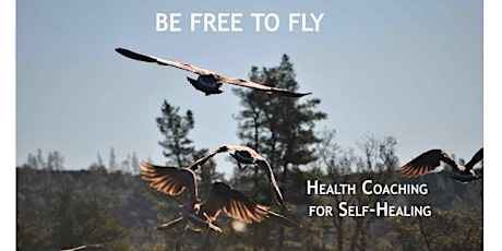 Holistic Health Seminar in Nevada City primary image