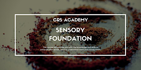 CRS Academy: Sensory Foundation Workshop primary image