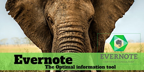 Focused Productivity: Evernote - The Optimal Information Tool