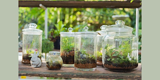 Imagen principal de Build a Terrarium: Craft Night @ Dandy Lion Coffee Co
