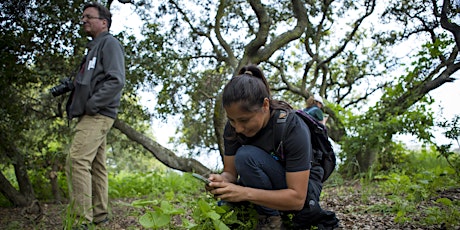 Taking photos of nature for science & conservation primary image