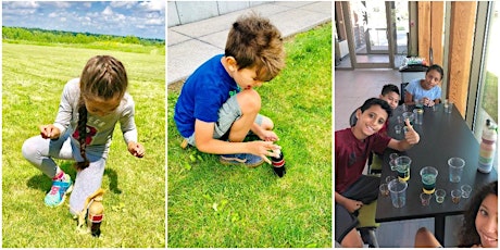 Summer Camps | Nature Nuts | Coding in Summer | Kids from 6 to 12 primary image