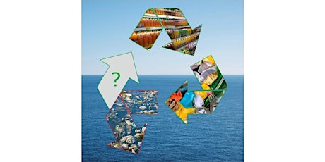 Public launch event for new report on "Plastics and the Circular Economy" primary image