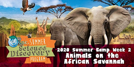 "e" inc.'s Summer Science Discovery Program - Week 2 - African Savannah primary image