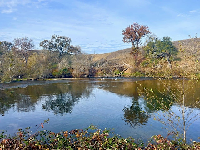 Imagem principal de Birding the Mokelumne River Fish Hatchery
