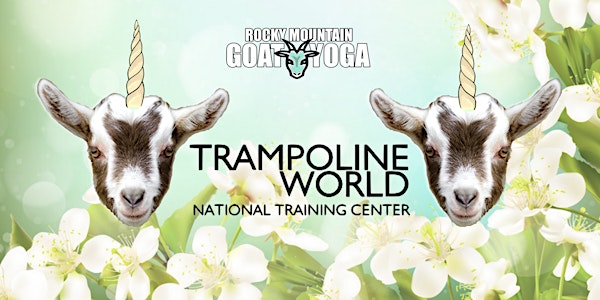 Unicorn Yoga - April 5th (Trampoline World Gymnastics)