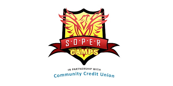 Plunketts GAA Community Credit Union Easter Camp (6th to 9th of April) - 10-2pm daily - Pay in advance Thursday, 19th March (7-8pm)