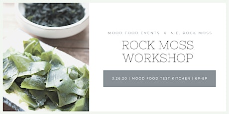 Rock Moss Workshop primary image