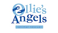 Ollie's Angels Animal Rescue