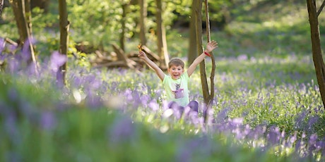 Bluebell Pop Up Photoshoot 2nd May 2020