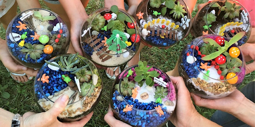 Thirsty Dog Plant An Indoor Succulent Fairy Garden Or Terrarium