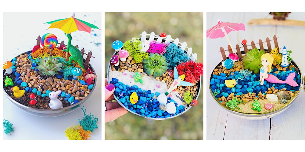 Canton Plant An Indoor Succulent Fairy Garden Fairy Dino Or