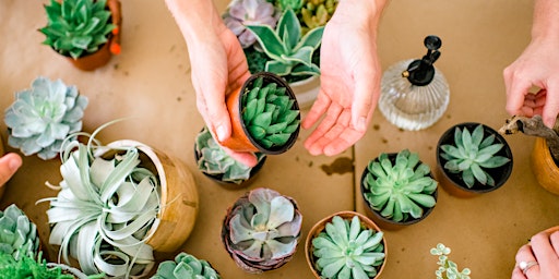 Wilmington Nc Busch Garden Events Eventbrite