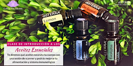 Imagen principal de CLASE GRATIS de Introducción a los Aceites Esenciales DoTerra