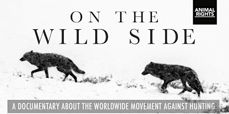 Screening On The Wild Side primary image