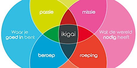 Primaire afbeelding van Ikigai Loopbaancoach Programma | 18 weken | 12 modules | € 645