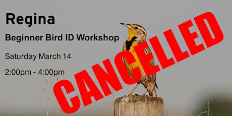 CANCELLED Regina - Beginner Bird ID Workshop primary image