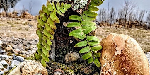 Providence Ri Wings Events Eventbrite