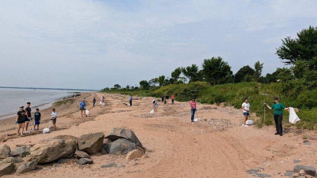 Image principale de Pelham Bay Shoreline Cleanup