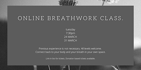 Hauptbild für Online Breathwork Class