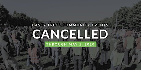 [CANCELLED] Volunteer: Community Tree Planting - Dumbarton Oaks Park Conservancy primary image