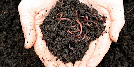 Primaire afbeelding van Composting with Worms