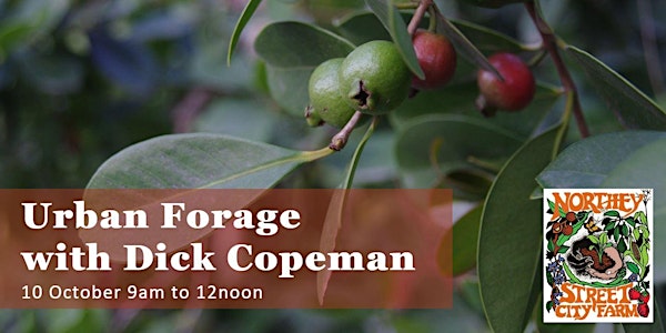 Urban Forage with Dick Copeman
