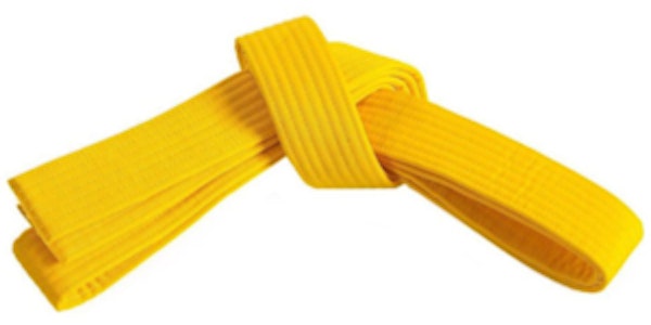 Online Lean Six Sigma Yellow Belt (eLearning) Training Australia