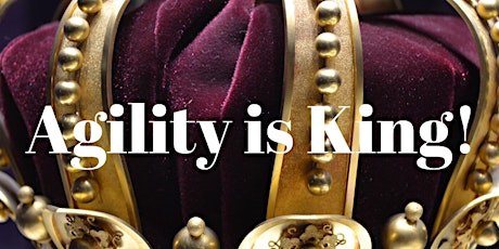 Agility: A Key Requirement for Individual & Business Success (ONLINE EVENT) primary image
