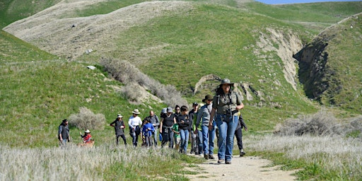 Guided  Wildflower Hike - Wind Wolves Preserve primary image