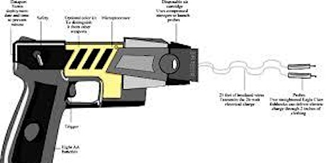 CA BSIS TASER (ECD) TRAINING primary image