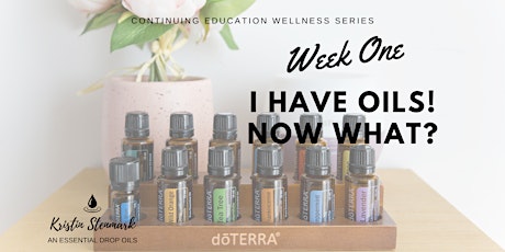 I Have Oils! Now What? - VIRTUAL CLASS primary image