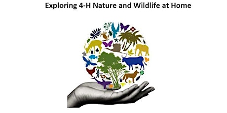 Exploring 4-H Nature and Wildlife at Home