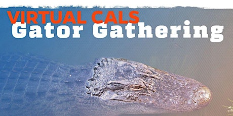 Imagen principal de 2020 CALS Virtual Gator Gathering