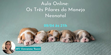 Imagem principal do evento Os Três Pilares do Manejo Neonatal 09/04