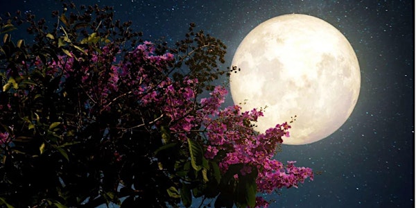 April Pink Super Full Moon Healing Meditation Live-Stream via Zoom