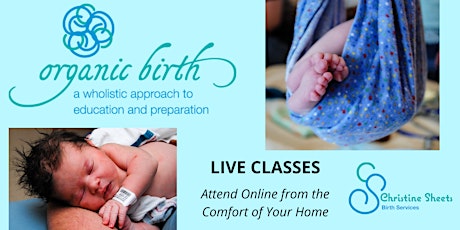 Organic Birth Online Edition