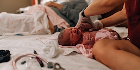 Home Birth 101: Quarantine Virtual Intensive Childbirth Education primary image