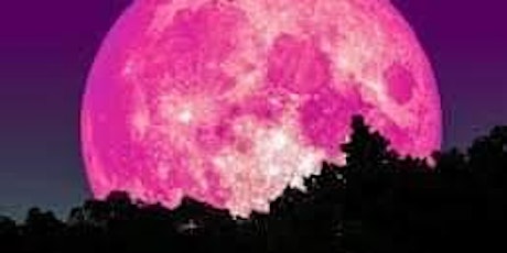 Full 'Pink' Moon Sound Bath primary image